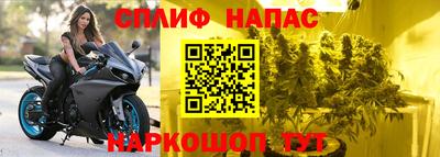 крисы Кандалакша