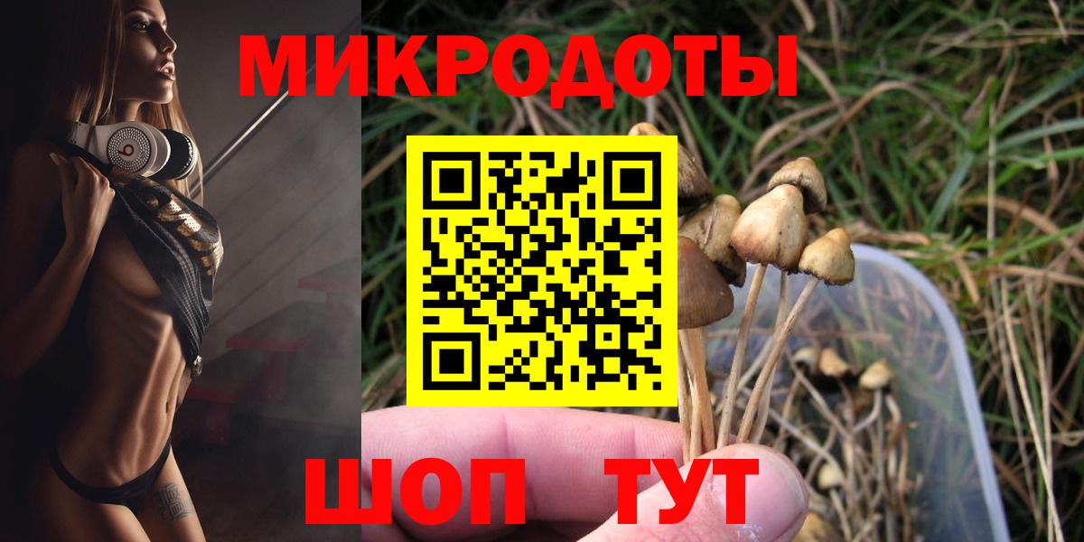Заинск  Псилоцибиновые грибы мухоморы  Псилоцибиновые грибы ЛСД  Вход с VPN 